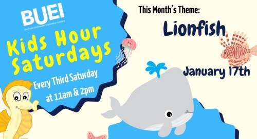 Lionfish film part of BUEI’s children’s event