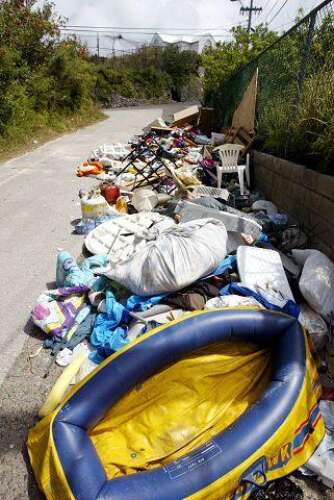 Open trash prompts warning about rats - The Royal Gazette | Bermuda ...