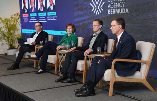 US wildfire experts call on Bermuda insurers for help