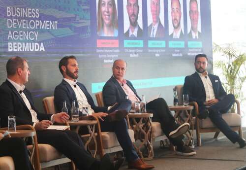 Private credit stress fears overblown, say experts