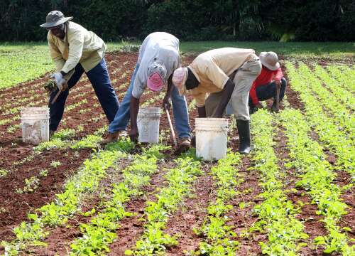 Ground to be broken for new farmers’ warehouse
