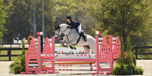 Paget Rytter wins Novice Jumper Classic in Ocala