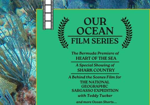 Film event calls for vocal advocacy of ocean protection