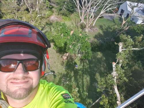 Busy time for tree surgeon after hurricane - The Royal Gazette ...
