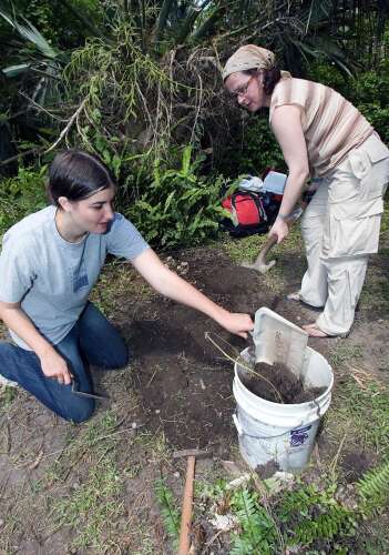 Locals invited to join archaeology survey - The Royal Gazette | Bermuda ...