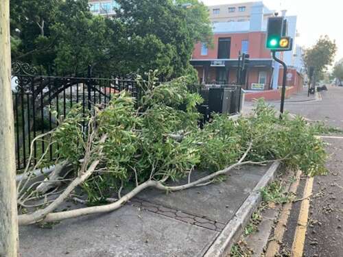 Call for parents to limit Hallowe’en as power is restored