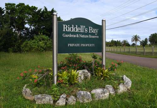 Land at Riddell’s Bay officially declared nature reserve - The Royal ...