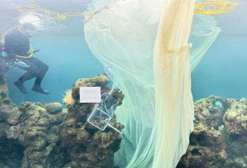 Restoration of iconic exhibit under way at BAMZ