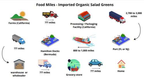 Local produce seller highlights environmental impact of imported fresh ...