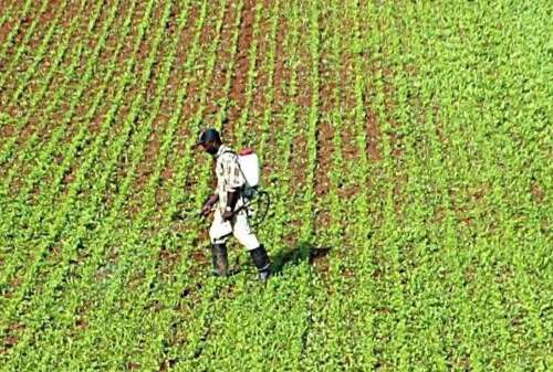 Hard row to hoe: island ‘gets in its own farming way'