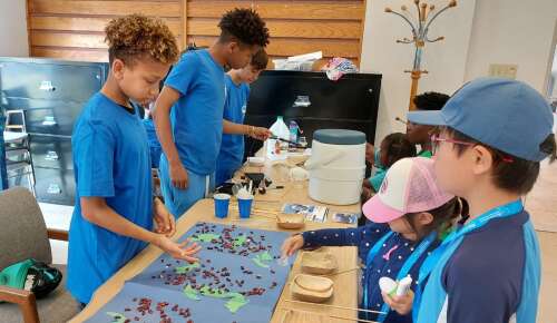 BZS biology programme explores life’s tiny details