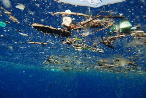 Single-use plastics legislation tabled in the House