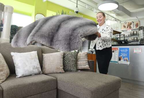Home refresh: where to spend, where to save