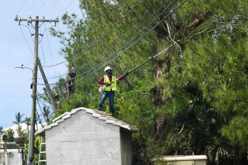 Belco: trim trees to avert ‘preventable’ outages