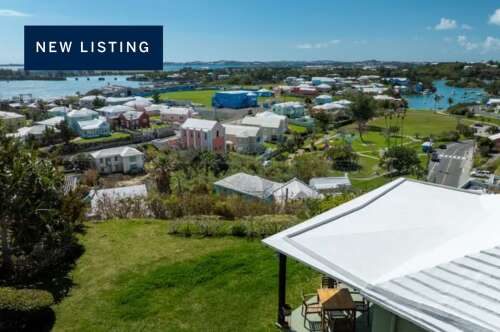 Prepared sellers can benefit from market chaos, says realtor