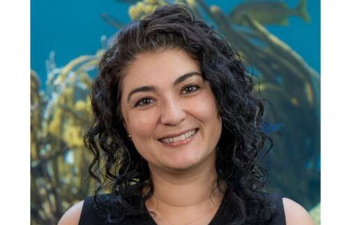 BZS makes key appointment