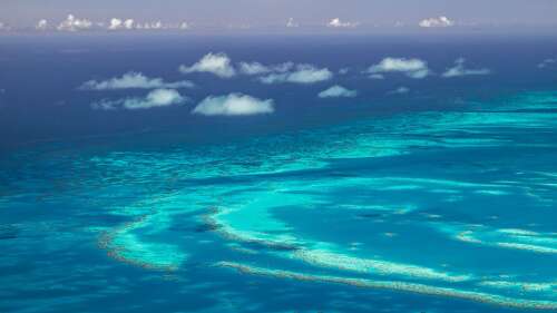 Letter to the Editor: Marine conservation plan adoption is long overdue