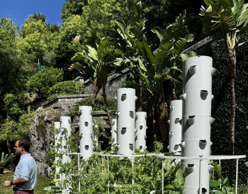 Bacardi cultivates community in Bermuda for 60 years