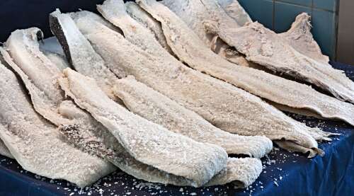 Christ calls us to preserve and change the world