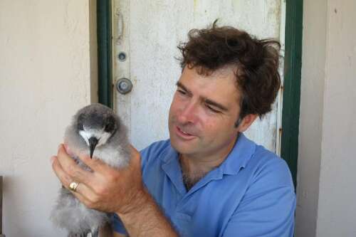 Bermuda’s reefs are speaking. Are we listening?