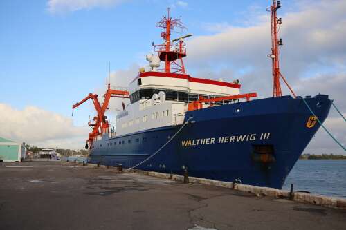Researchers track critically endangered European eel