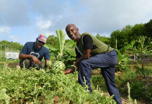 Sustainable farming project has plans to grow
