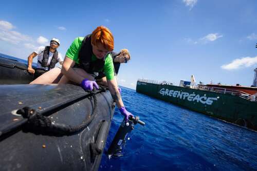 DNA tests reveal diverse wildlife of Sargasso Sea