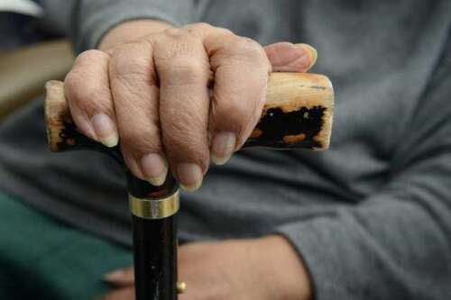 Government honours seniors in global day of remembrance