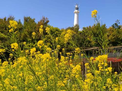 No need to worry, just trust in God