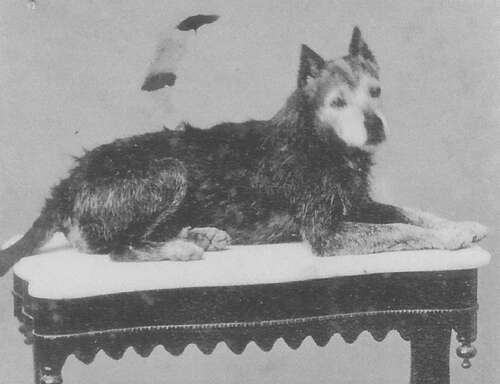 Historic Bermuda photographer highlighted in new website