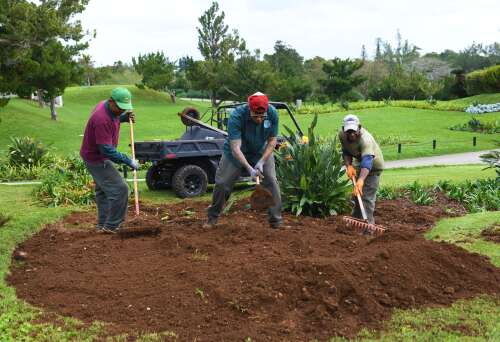 Appeal for private sector help to safeguard Botanical Gardens