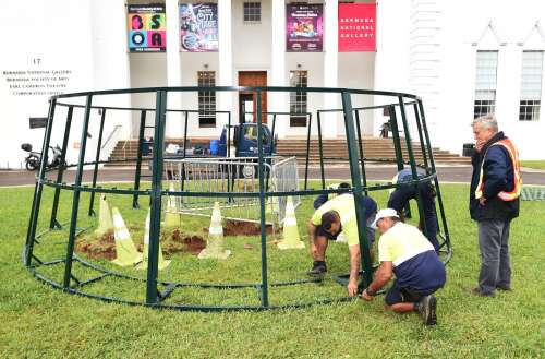 High holiday: City prepares 40ft Christmas tree