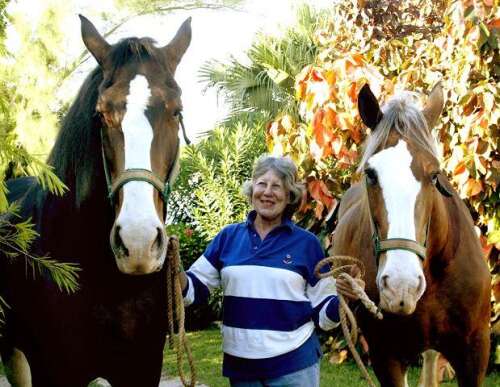 Anne Powell (1933-2026): big-hearted lover of horses