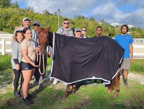 Smart Machine flirts with harness racing track record