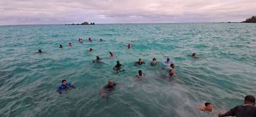 Francis Patton’s winter swim celebrates 75 years of service