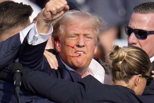 World Politics 2024: Democracy bloodied but unbowed