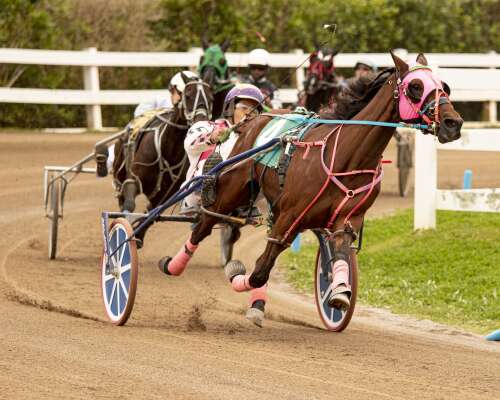 Harness ace Kiwon Waldron savours triple success 