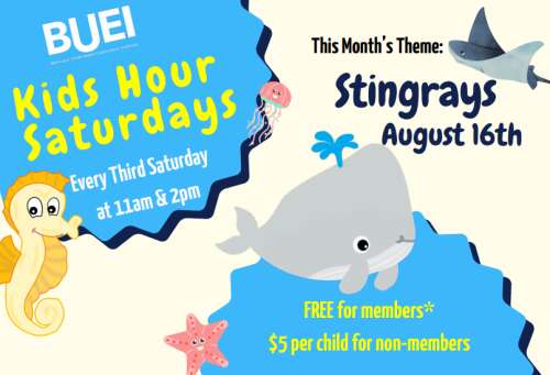 BUEI to feature stingrays at children’s event