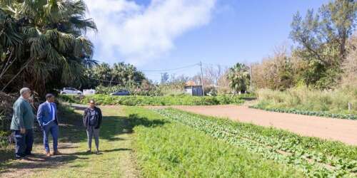 Seven acres of arable land go from fallow to farm
