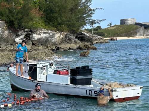 Effective fisheries management needed, not no-fishing zones