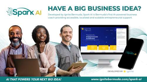 Call for entrepreneurs to test Ignite’s new AI business coach