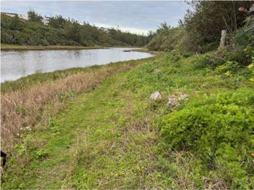 Charity proposes new bird blind for Spittal Pond