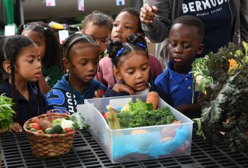 Ag Show kicks off with a bloom on opening day