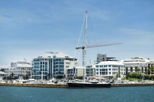 Exempt company numbers drop as tax kicks in