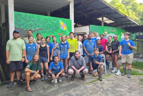Junge Bermudas erkunden Borneos reiche Artenvielfalt