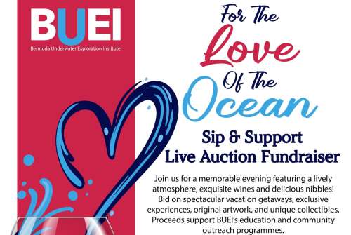 BUEI fundraiser includes auction and local comedians