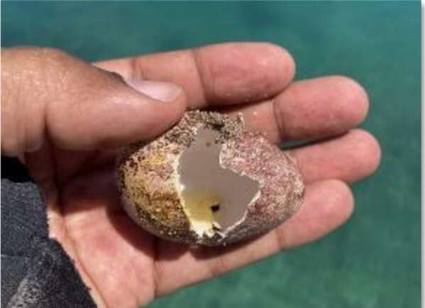 Sorry! Image not available at this time