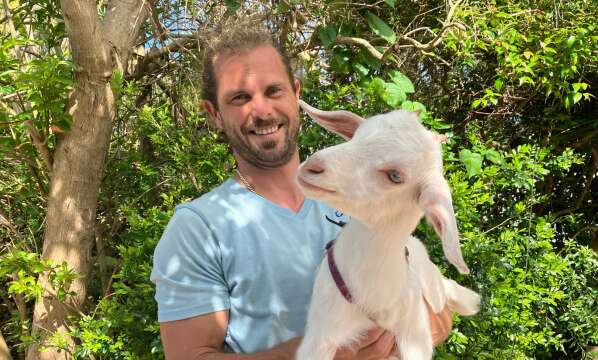 Sorry! Image not available at this time