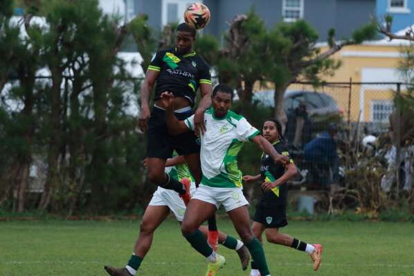 Sorry! Image not available at this time