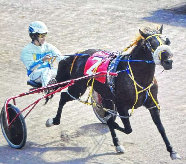 Sorry! Image not available at this time